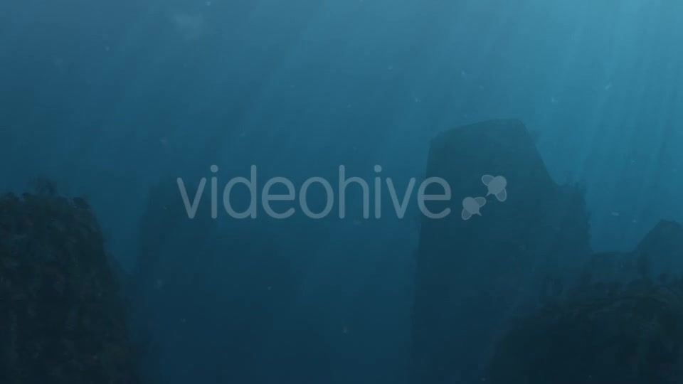 Underwater 03 Videohive 16765796 Motion Graphics Image 7