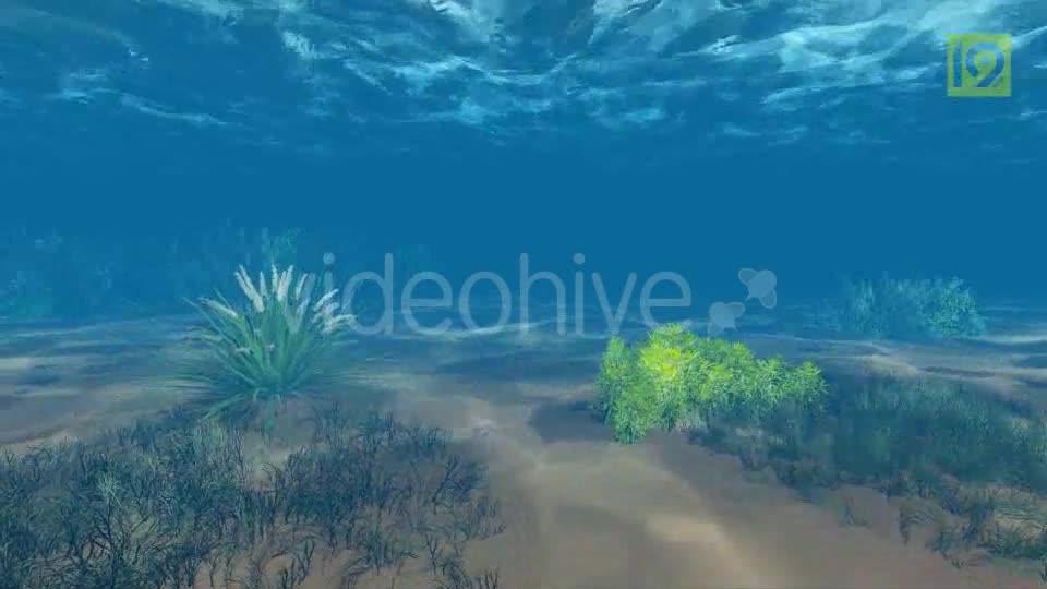 Underwater Videohive 19864402 Motion Graphics Image 1