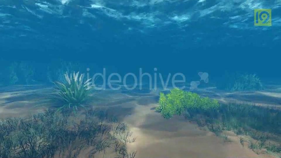 Underwater Videohive 19864402 Motion Graphics Image 2