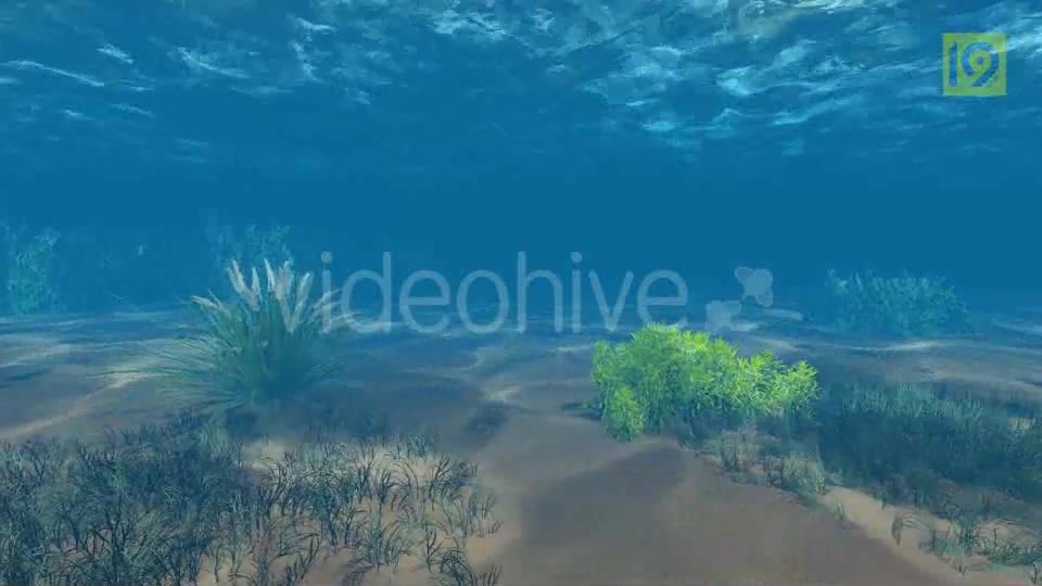 Underwater Videohive 19864402 Motion Graphics Image 3