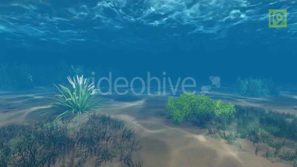 Underwater Videohive 19864402 Motion Graphics Image 4