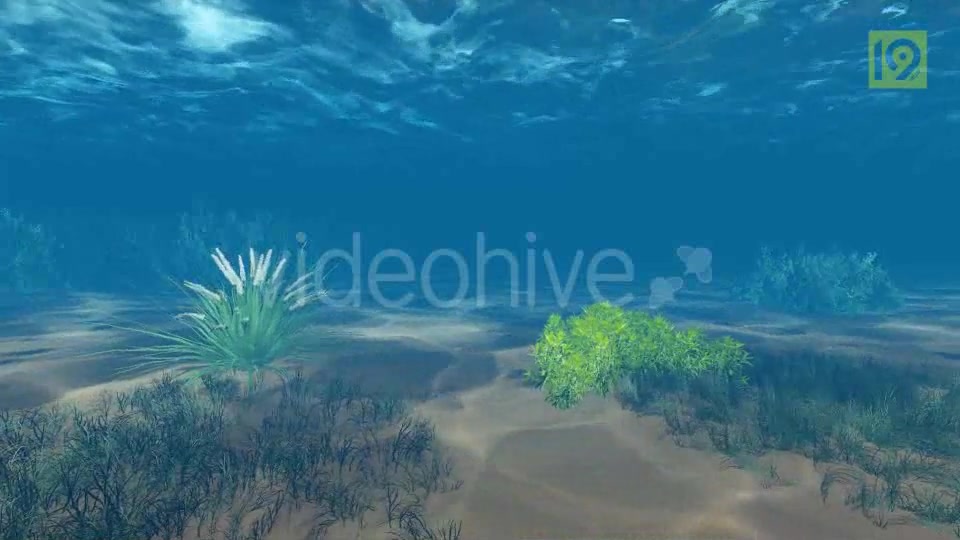 Underwater Videohive 19864402 Motion Graphics Image 5