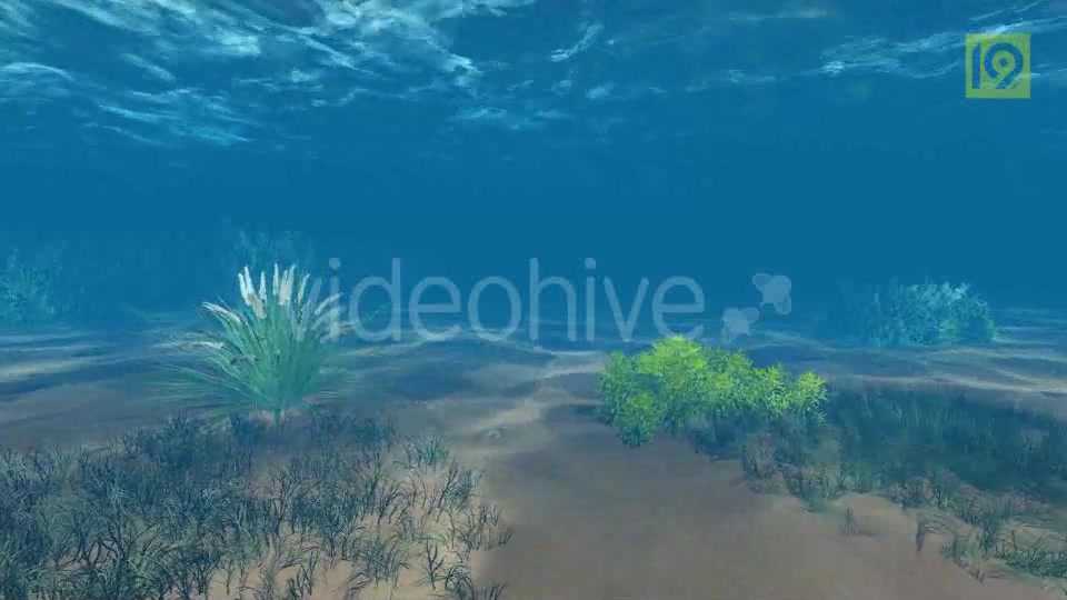 Underwater Videohive 19864402 Motion Graphics Image 6