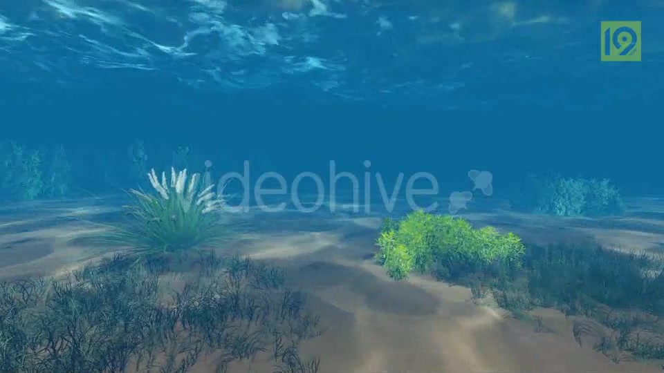 Underwater Videohive 19864402 Motion Graphics Image 7