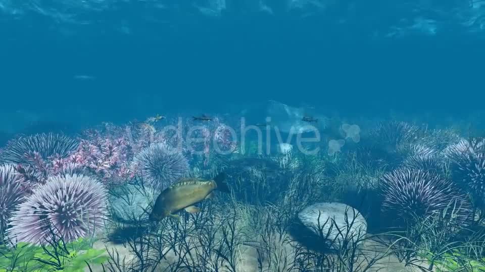Underwater Videohive 21121848 Motion Graphics Image 1