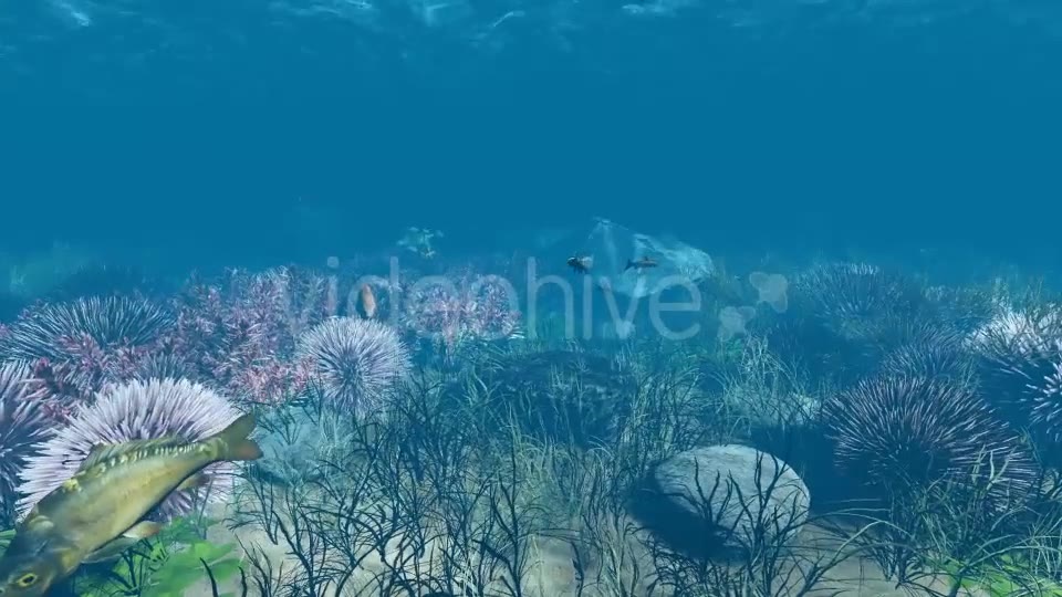 Underwater Videohive 21121848 Motion Graphics Image 7