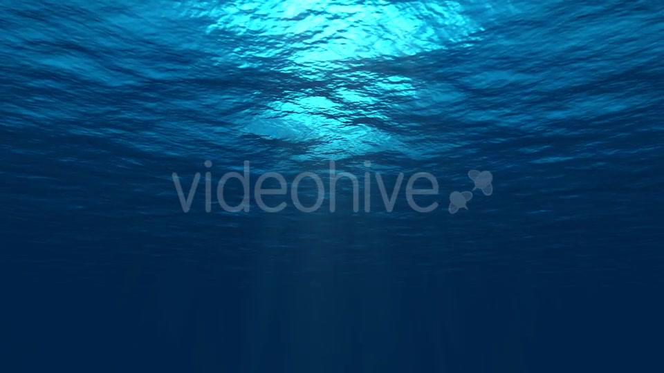 Underwater Background 2 Videohive 20495494 Motion Graphics Image 4