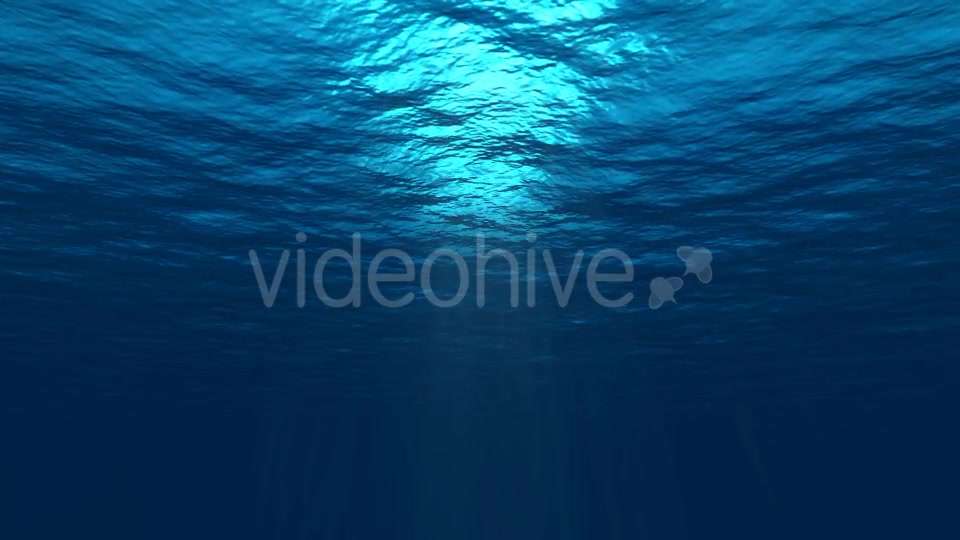 Underwater Background 2 Videohive 20495494 Motion Graphics Image 6