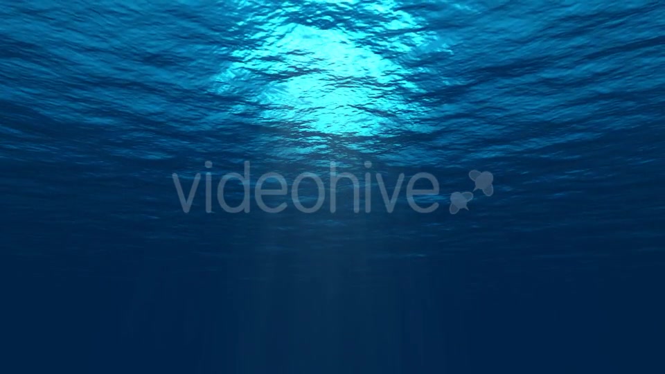 Underwater Background 2 Videohive 20495494 Motion Graphics Image 7