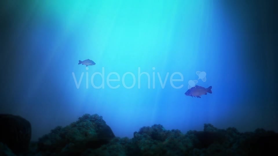 Underwater Background Videohive 14181786 Motion Graphics Image 2