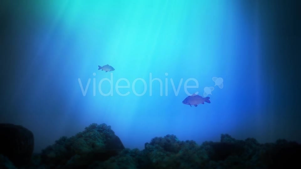 Underwater Background Videohive 14181786 Motion Graphics Image 4