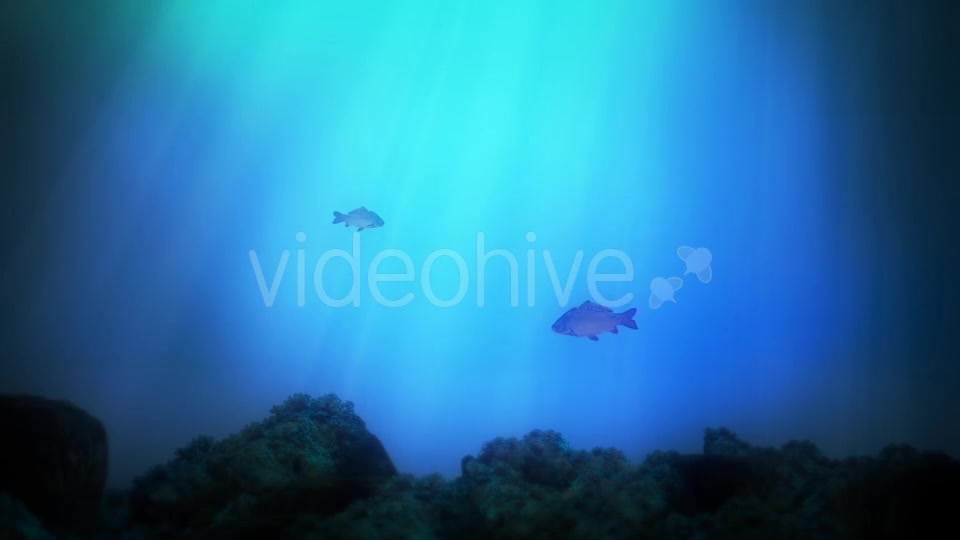Underwater Background Videohive 14181786 Motion Graphics Image 5