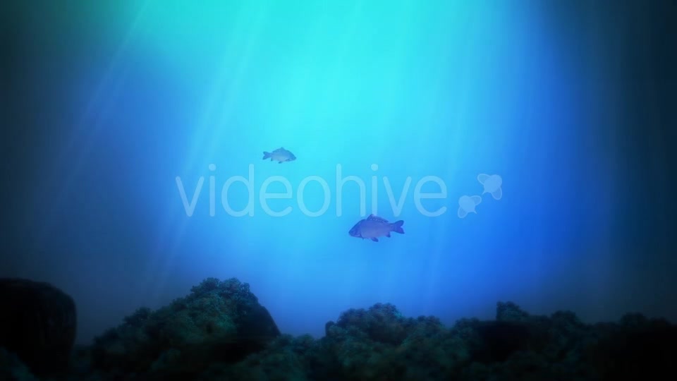 Underwater Background Videohive 14181786 Motion Graphics Image 7