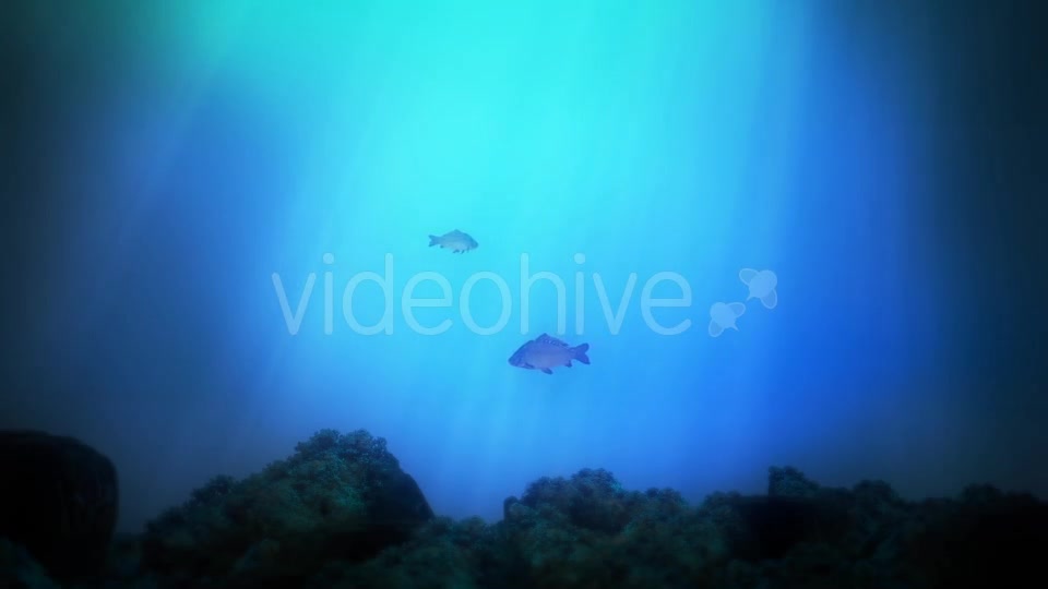 Underwater Background Videohive 14181786 Motion Graphics Image 8