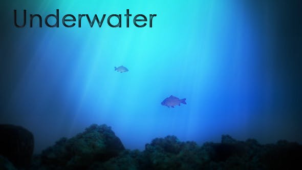 Underwater Background - Download 14181786 Videohive