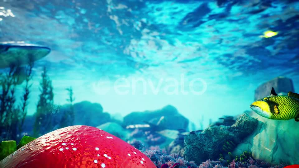 Underwater Blue World 1 Videohive 23095146 Motion Graphics Image 1