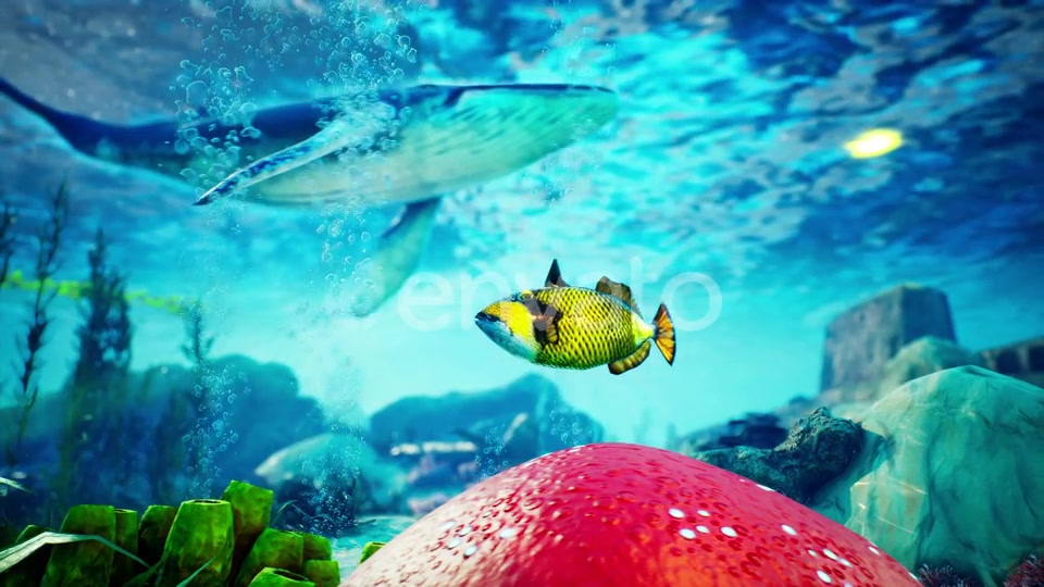 Underwater Blue World 1 Videohive 23095146 Motion Graphics Image 4