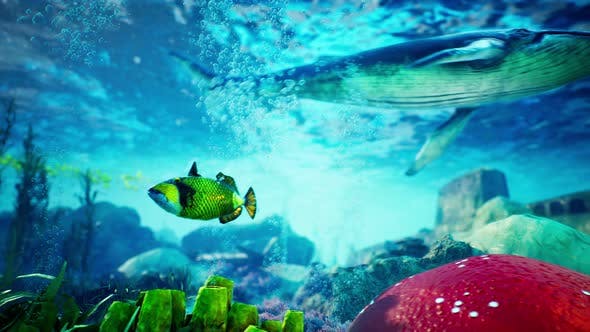 Underwater Blue World 1 - 23095146 Videohive Download