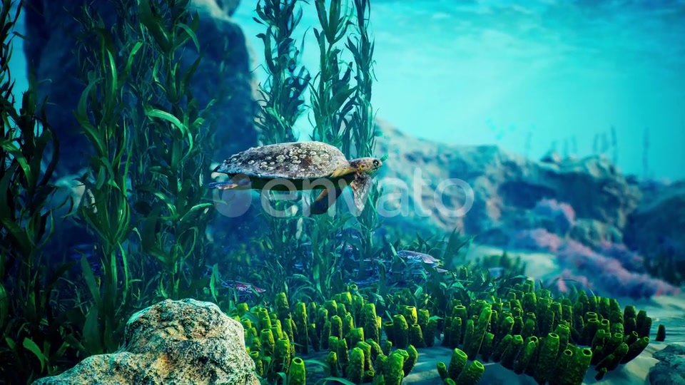 Underwater Blue World 6 Videohive 23098758 Motion Graphics Image 3