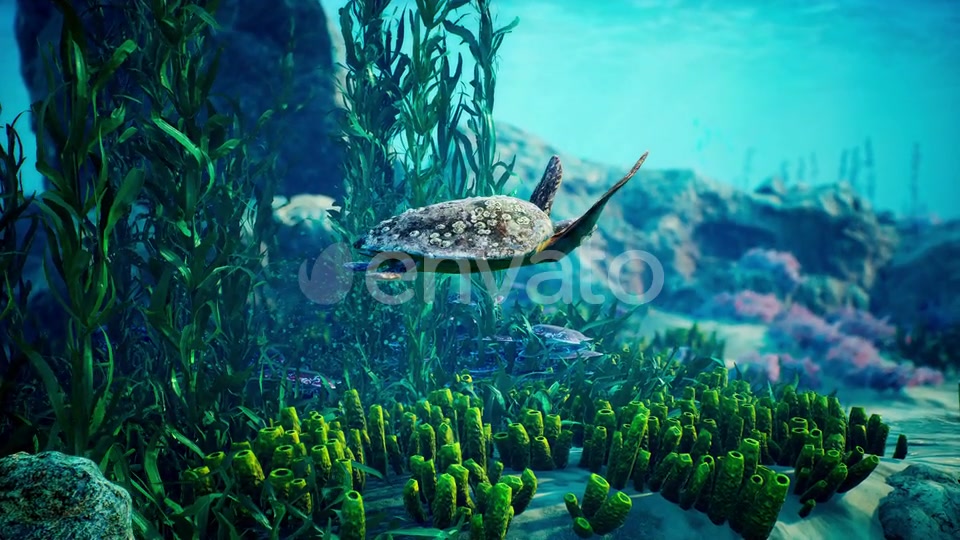 Underwater Blue World 6 Videohive 23098758 Motion Graphics Image 4
