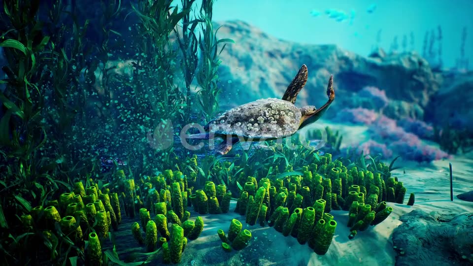 Underwater Blue World 6 Videohive 23098758 Motion Graphics Image 6