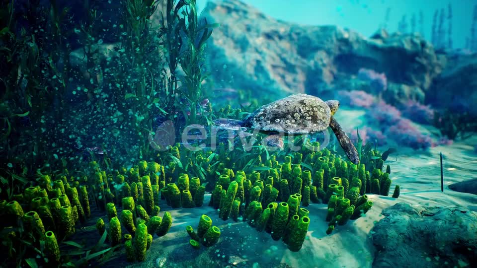 Underwater Blue World 6 Videohive 23098758 Motion Graphics Image 7