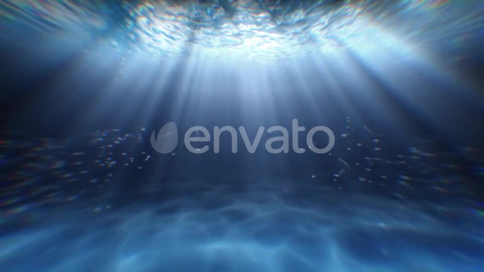 Underwater Videohive 22306643 Motion Graphics Image 9