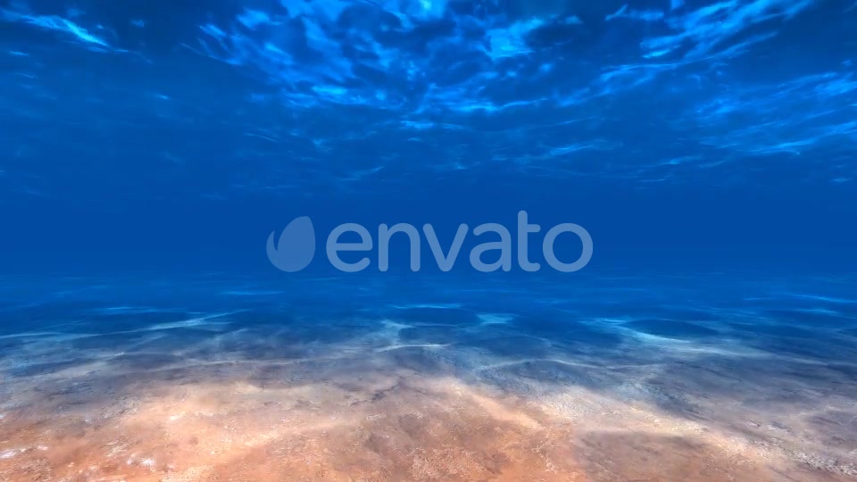 Underwater Sea Videohive 22325521 Motion Graphics Image 10