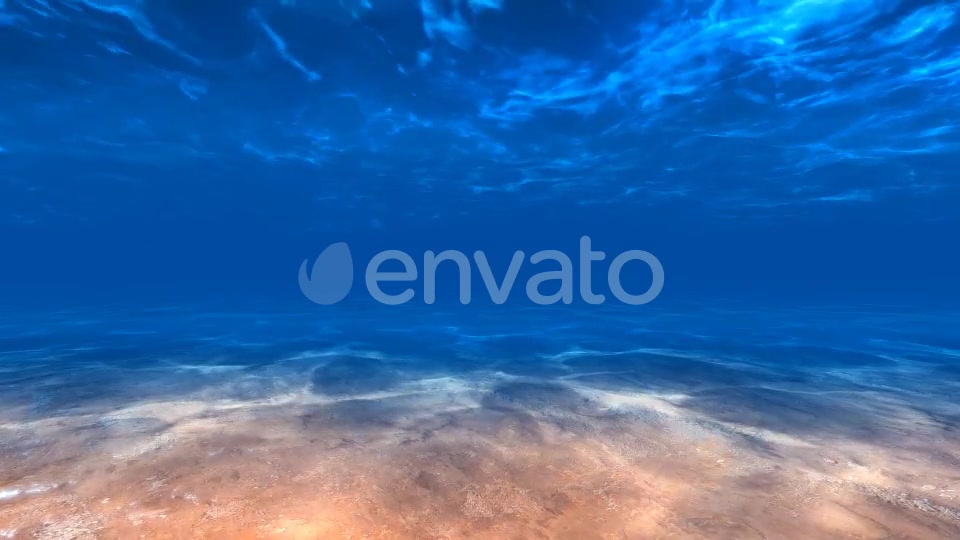 Underwater Sea Videohive 22325521 Motion Graphics Image 9