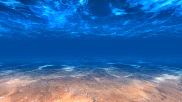 Underwater Sea - 22325521 Videohive Download