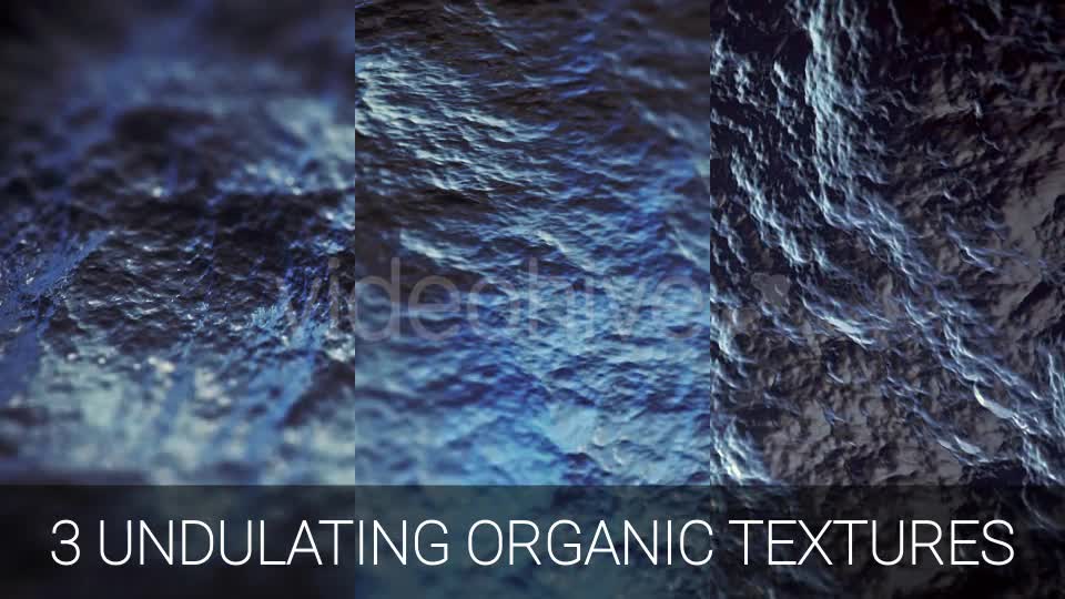 Undulating Alien Organic Surfaces Videohive 14828375 Motion Graphics Image 1