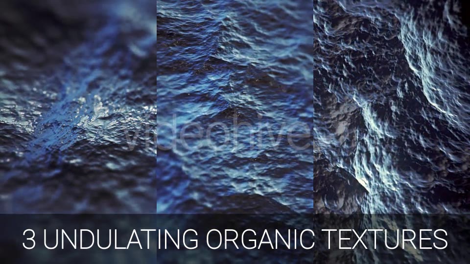 Undulating Alien Organic Surfaces Videohive 14828375 Motion Graphics Image 3