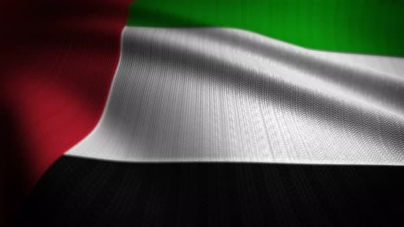 United Arab Emirates Flag Seamless Loop - Download Videohive 22557182