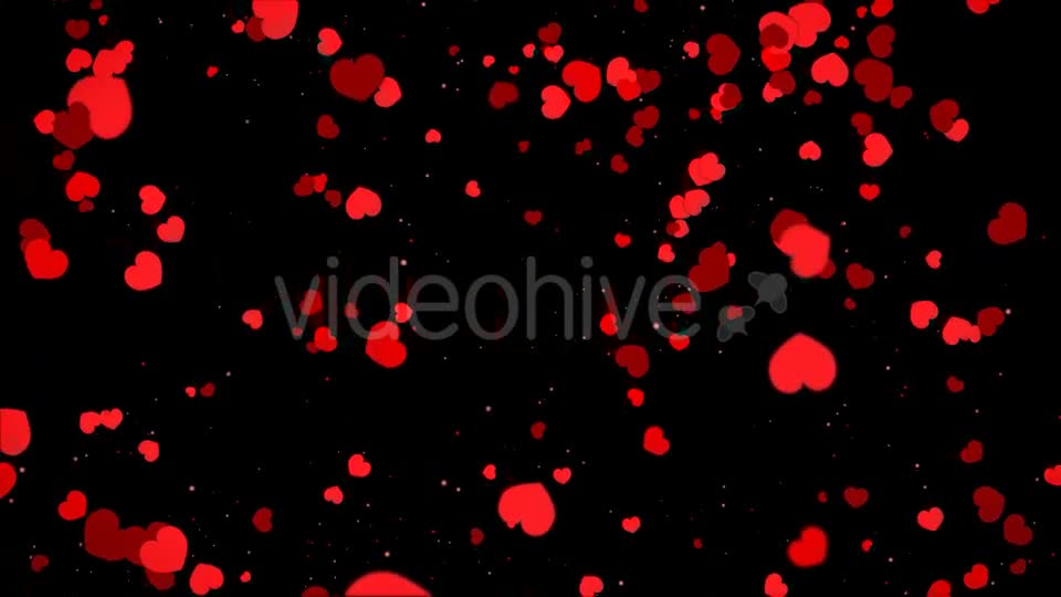 Valentine Heart Falling Videohive 21361643 Motion Graphics Image 10