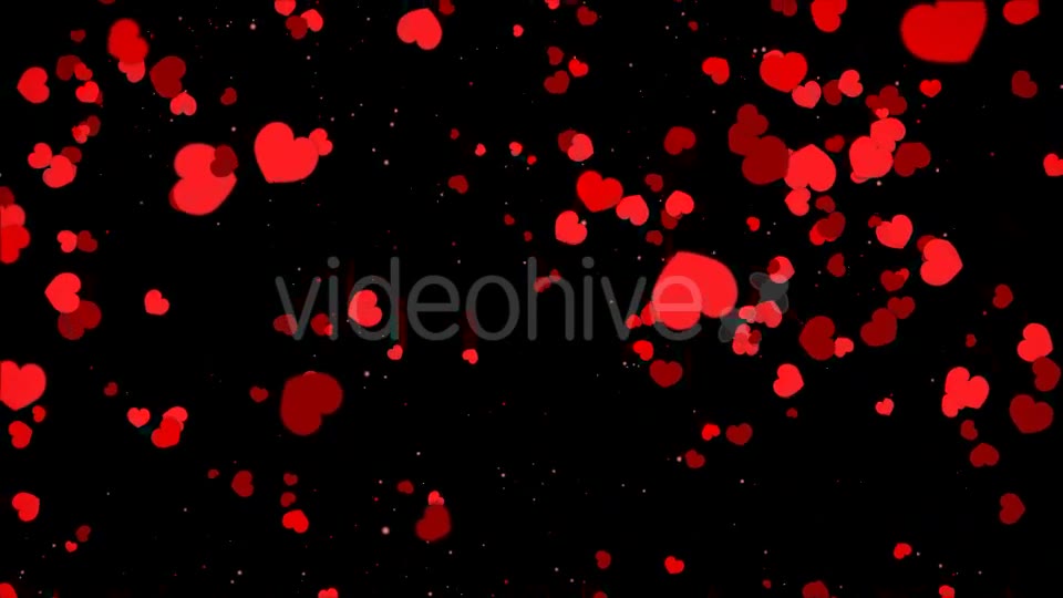 Valentine Heart Falling Videohive 21361643 Motion Graphics Image 2