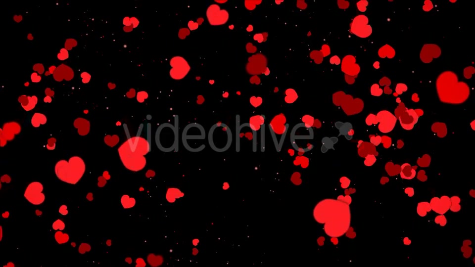Valentine Heart Falling Videohive 21361643 Motion Graphics Image 3
