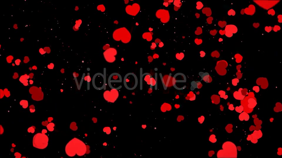 Valentine Heart Falling Videohive 21361643 Motion Graphics Image 4