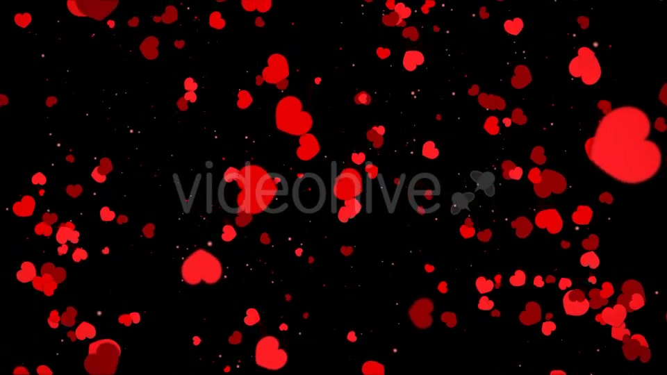 Valentine Heart Falling Videohive 21361643 Motion Graphics Image 5