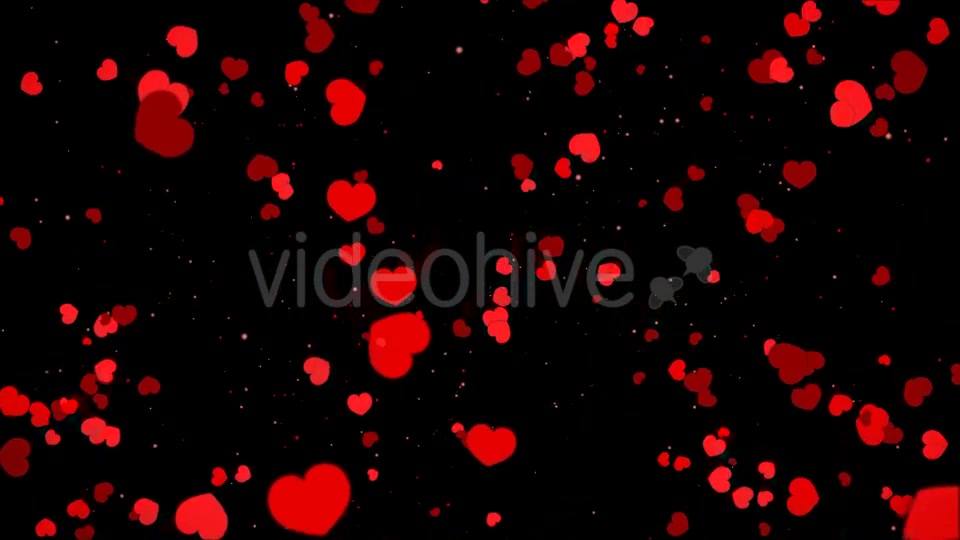 Valentine Heart Falling Videohive 21361643 Motion Graphics Image 6