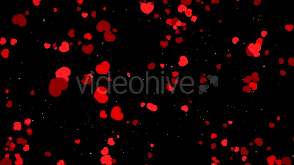 Valentine Heart Falling Videohive 21361643 Motion Graphics Image 7