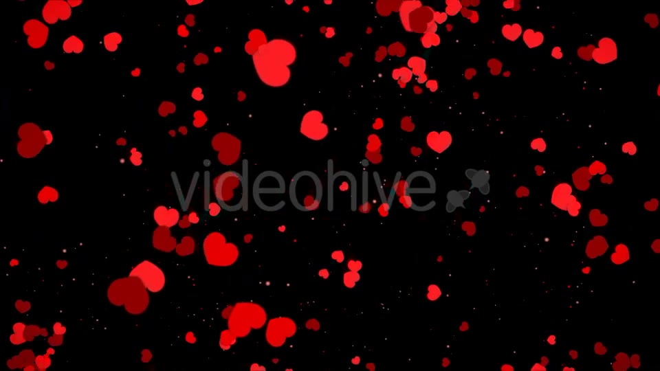 Valentine Heart Falling Videohive 21361643 Motion Graphics Image 8