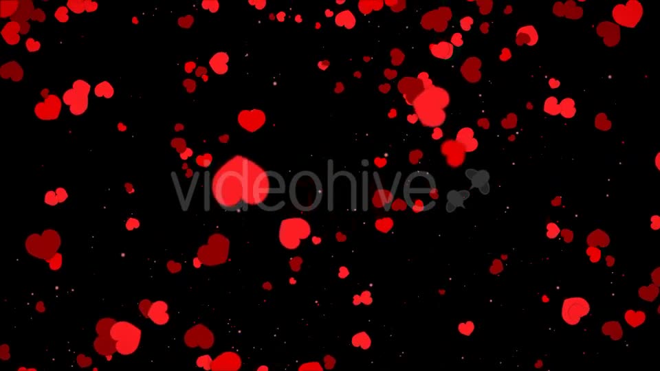 Valentine Heart Falling Videohive 21361643 Motion Graphics Image 9