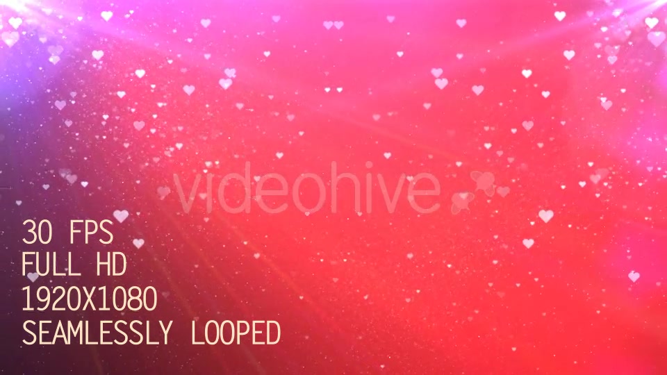 Valentine Hearts Videohive 19288753 Motion Graphics Image 3
