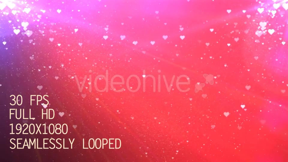 Valentine Hearts Videohive 19288753 Motion Graphics Image 5