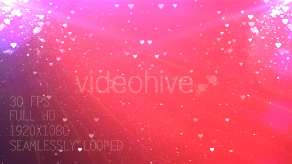 Valentine Hearts Videohive 19288753 Motion Graphics Image 7