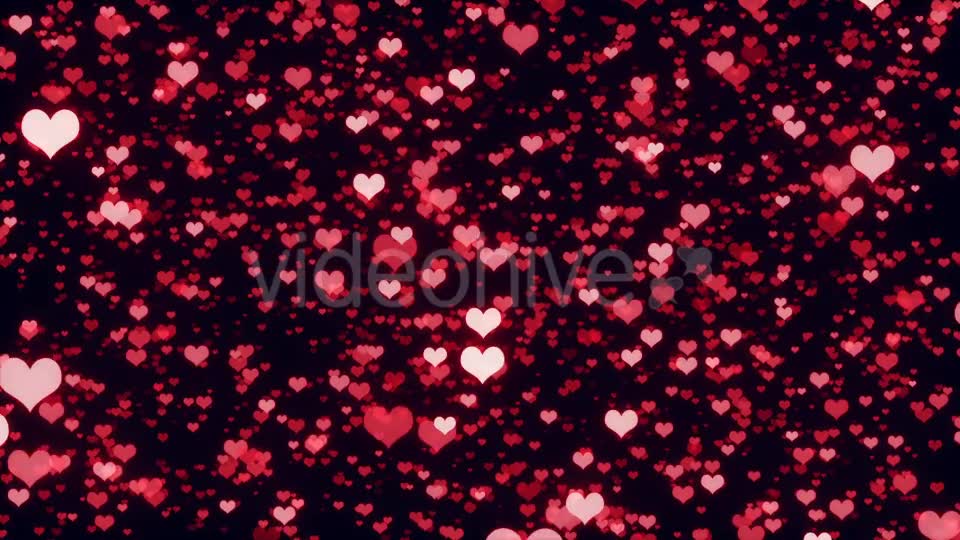 Valentine Hearts Videohive 19457453 Motion Graphics Image 7