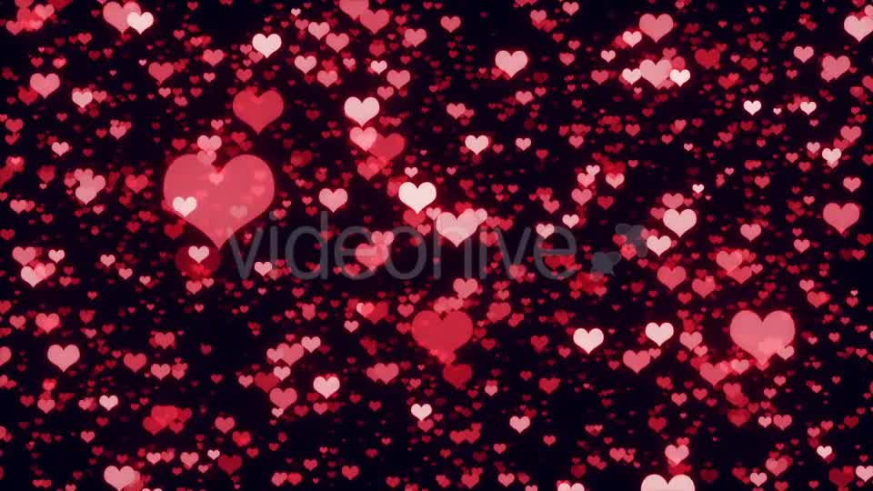 Valentine Hearts Videohive 19457453 Motion Graphics Image 8