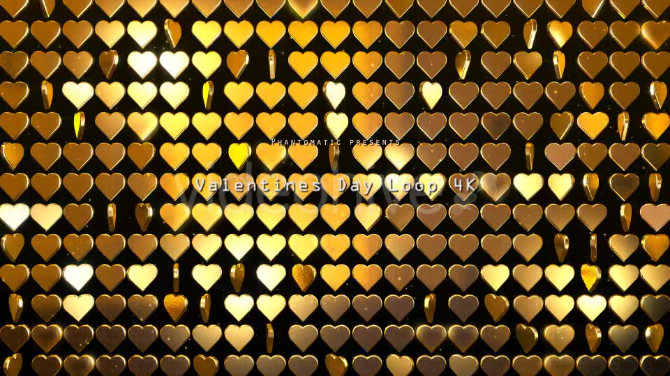 Valentines Glitter Videohive 21355385 Motion Graphics Image 3