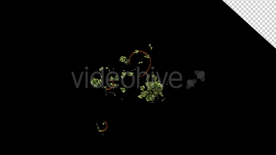 Vegetation Bush Ivy Growth Videohive 13097621 Motion Graphics Image 11