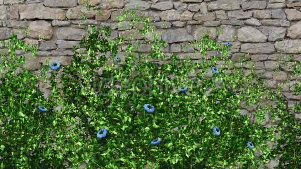 Vegetation Grow and Blue Flowers Videohive 11855053 Motion Graphics Image 4